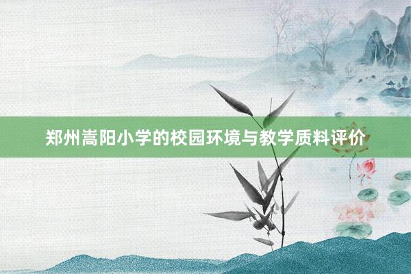 郑州嵩阳小学的校园环境与教学质料评价
